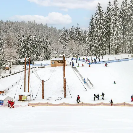Certovka-2 By Interhome * Harrachov